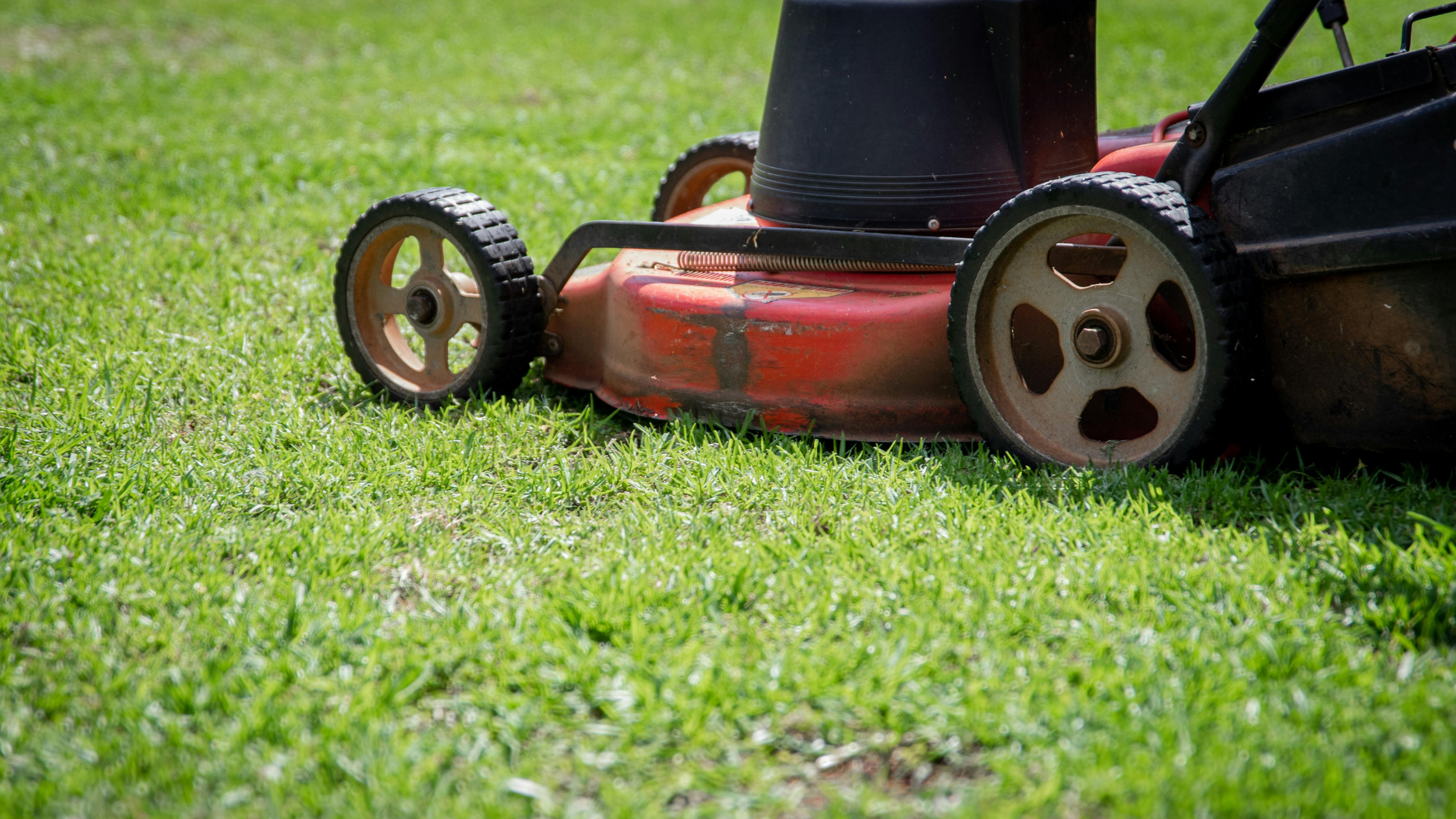 how to clean a lawn mower carburetor without removing it