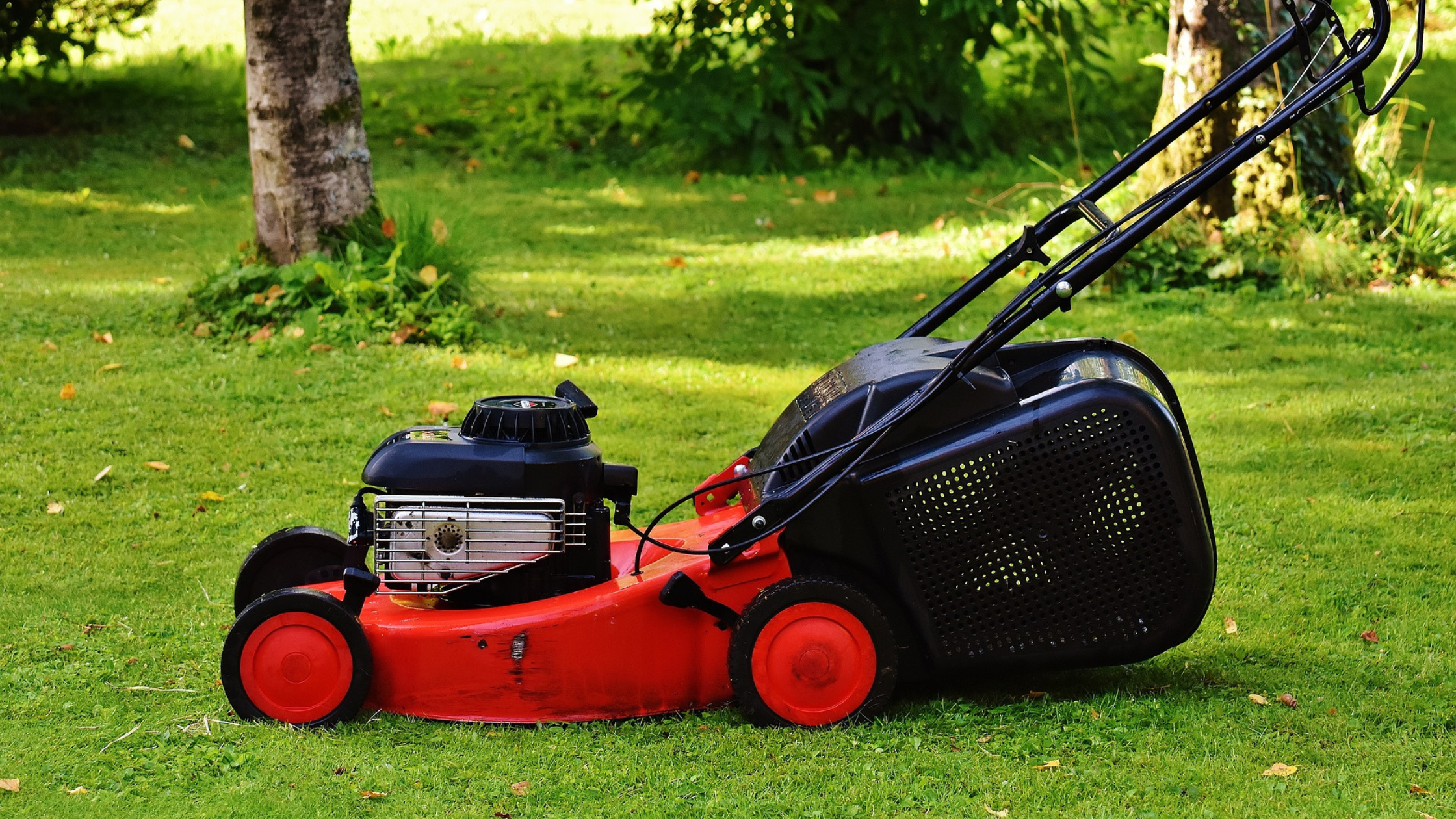 Are Lawn Mower Engines Interchangeable