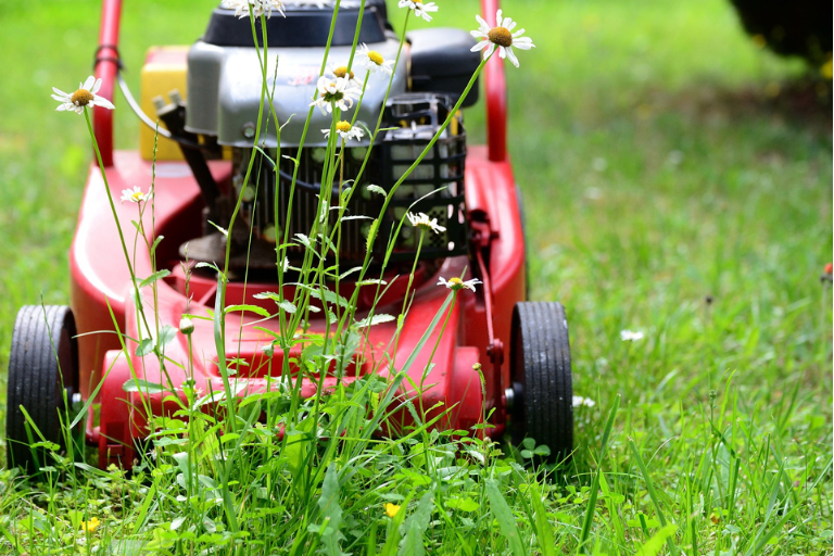 Are Lawn Mower Engines Interchangeable