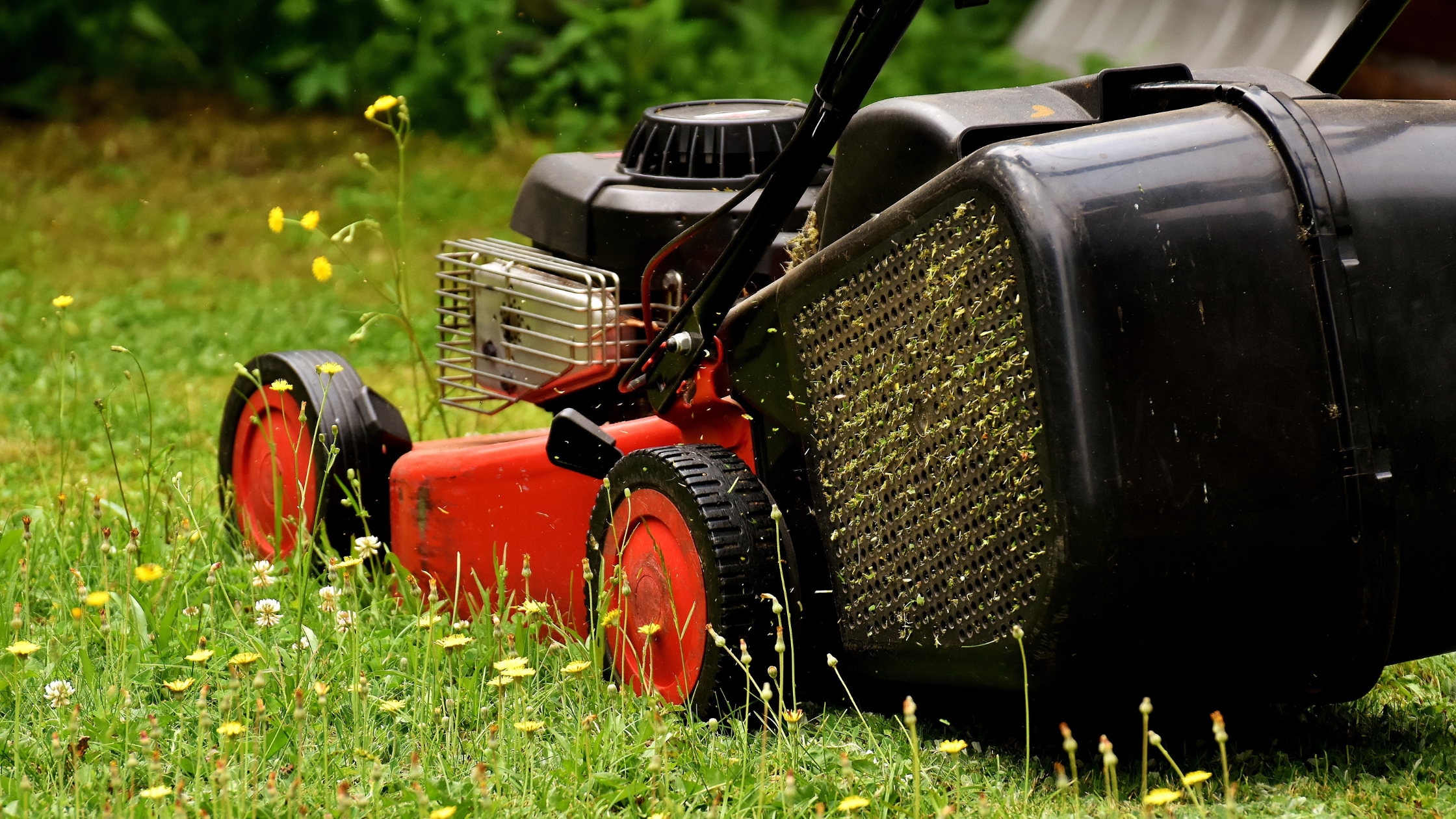 charge lawn mower over night